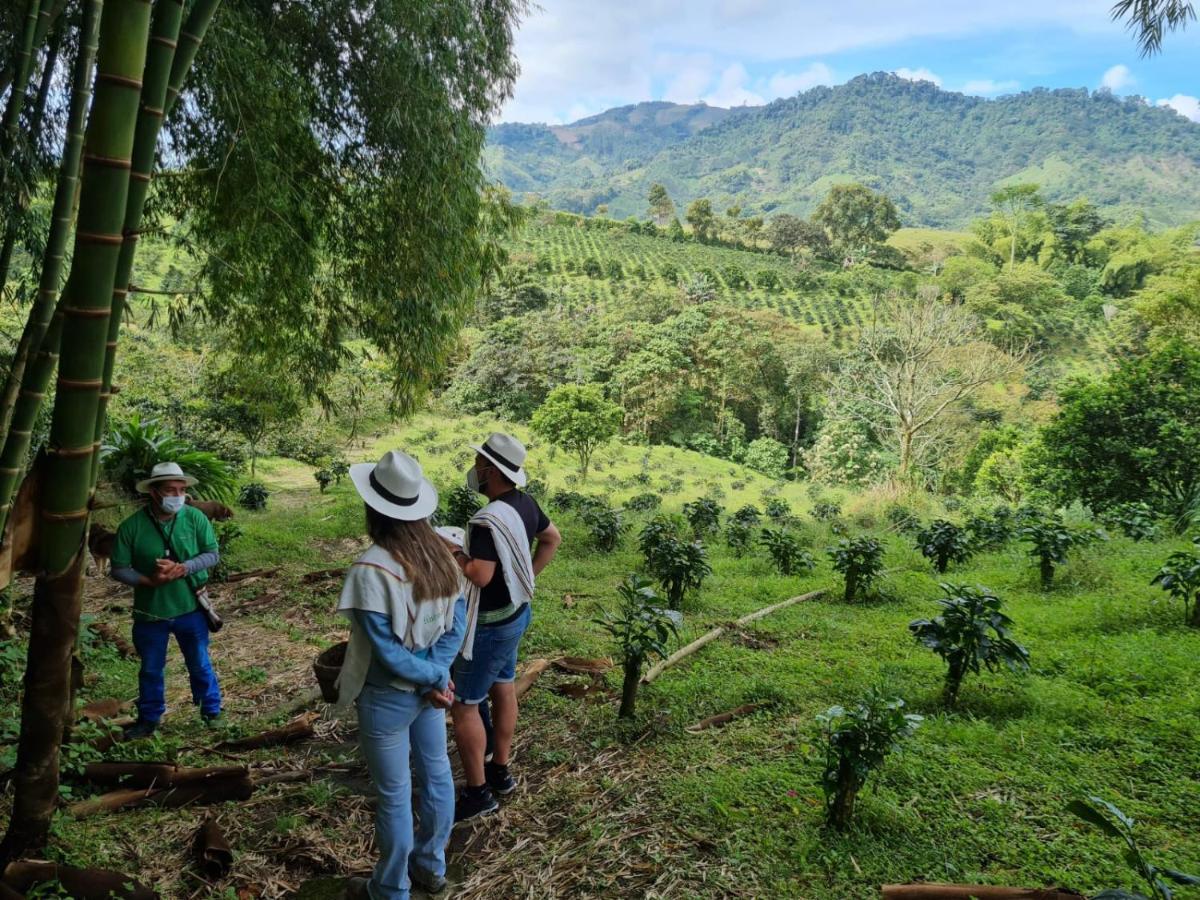 Finca Del Cafe - Casa Typica Санта Роса де Кабал Екстериор снимка